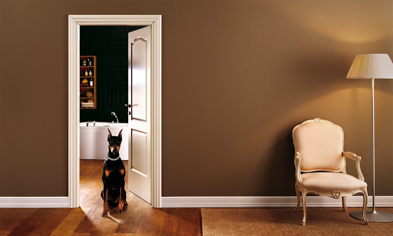 Interior and dog. Beige