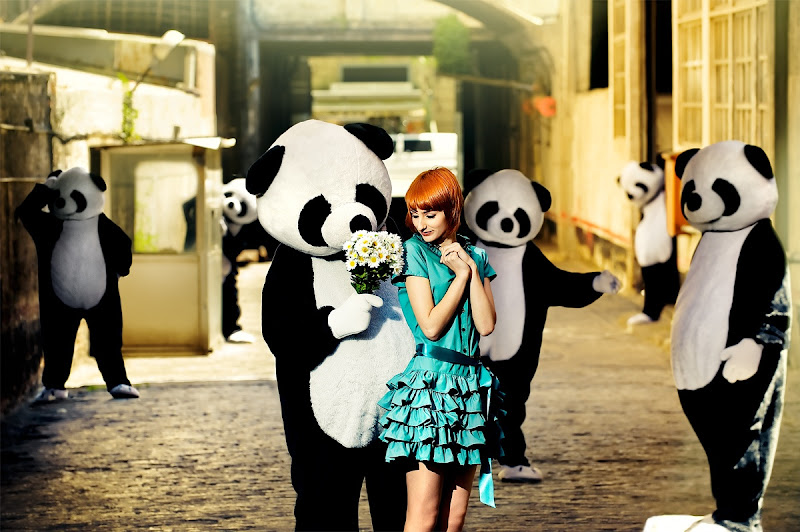Panda loves you