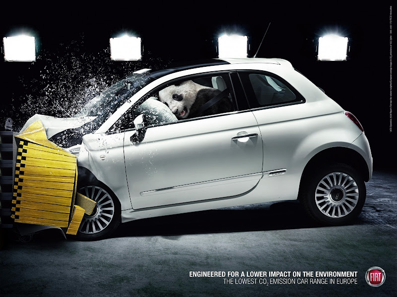 Panda in FIAT