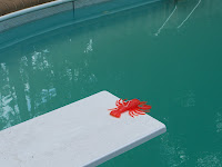 100_1267.JPG