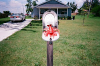 6-24-2008-11.jpg