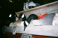 6-24-2008-22.jpg