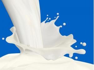 [milk3.jpg]
