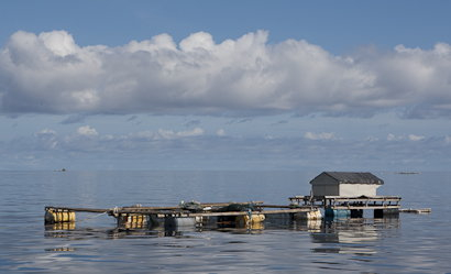 BandaNaira090119-18.D5bv1M5LWRQV.jpg
