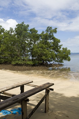 Bunaken090130-2.tUoqEWmFMlbC.jpg