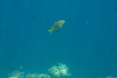 Bunaken090201-18.dsreUT6kIxGA.jpg