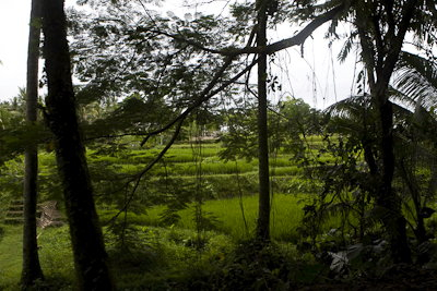Bali0902012-2.S3ReZkKv2WUJ.jpg