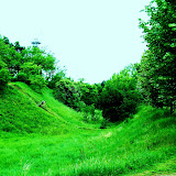 Titlu: Verde<br />
Autor: Georgiana Militaru” width=”160″ height=”160″ id=”shashin_thumb_image_37″ title=”Titlu: Verde<br />
Autor: Georgiana Militaru” /></a>
<div class=