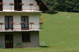 IMG_7691.JPG
