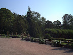 City garden front yard