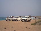 People on a safari