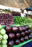 Eggplants Galour!