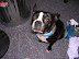 DSCN3698.JPG