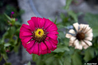 S - Georgia-8453.jpg