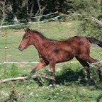 DSCN6014.JPG