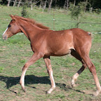 DSCN6004.JPG