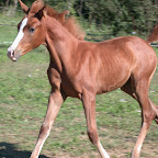 DSCN6008.JPG