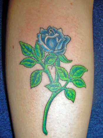 http://lh5.ggpht.com/_S8ravUTXRT0/R4ncjWPe_II/AAAAAAAAAHA/b1wyIGKipAY/blue+rose.jpg