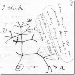 Árvore da Vida desenhada por Darwin em A Origem das Espécies.