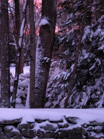 [Snowy Sunset Web[4].jpg]