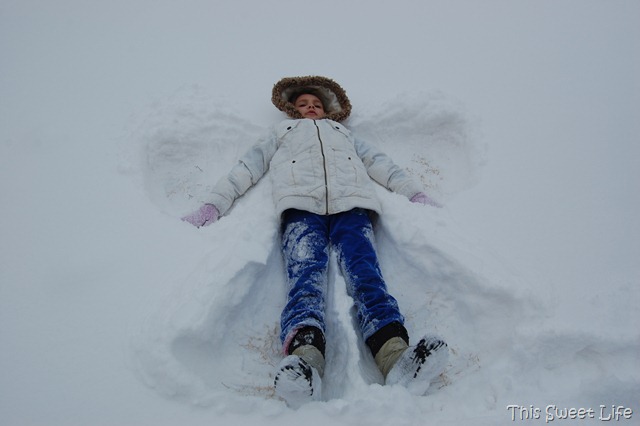 [DSC_0481[8].jpg]