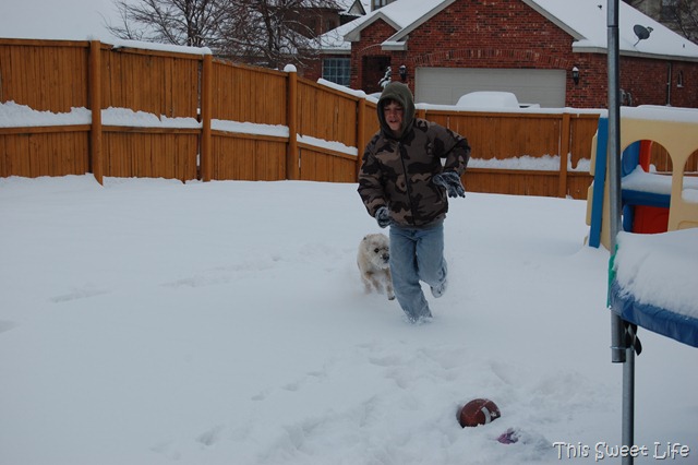 [DSC_0483[7].jpg]