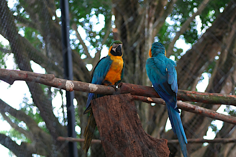 se rencontrer guyane