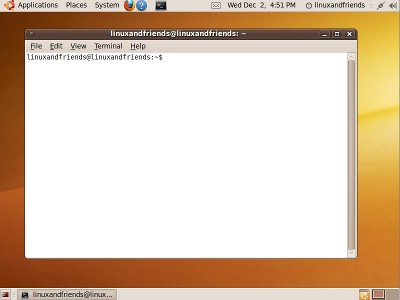 Ubuntu Terminal before running maximus