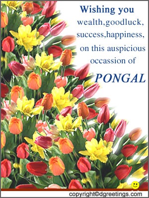 [pongal08[11].jpg]
