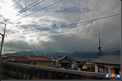 DSC_0096_good DSC_0096_good