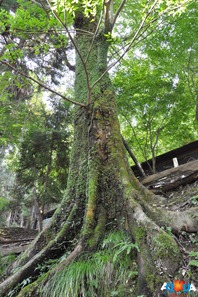 DSC_0123 DSC_0123
