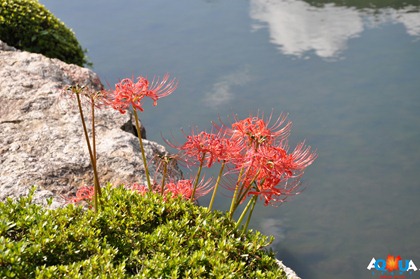 DSC_0210 DSC_0210