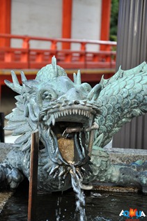 DSC_0817 DSC_0817