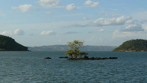 P1110750.JPG