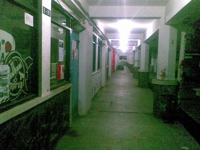 11012010(001)
