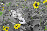 Bethanie and Mollie in the sunflowers