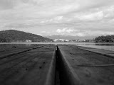 IMG_2125.JPG