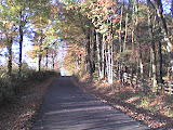 DSC00040.JPG