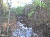 DSC00042.JPG