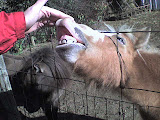 DSC00054.JPG