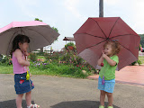 IMG_3794.JPG