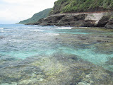 155_5501.JPG