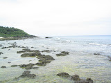 155_5502.JPG