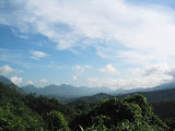 156_5698.JPG