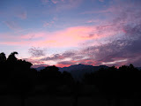 IMG_4391.JPG