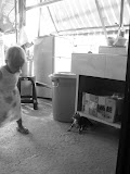 IMG_4410.JPG