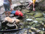IMG_4328.JPG