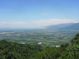IMG_4436.JPG