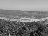 IMG_4440.JPG