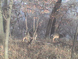 DSC00313.JPG